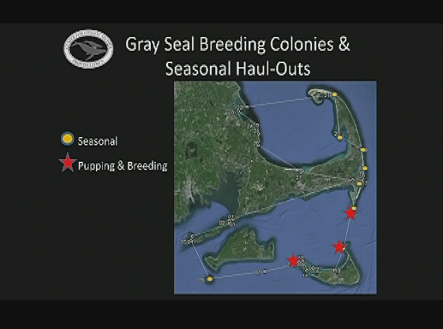 Thumbnail image for Truro Board of Selectmen 1-8-2019